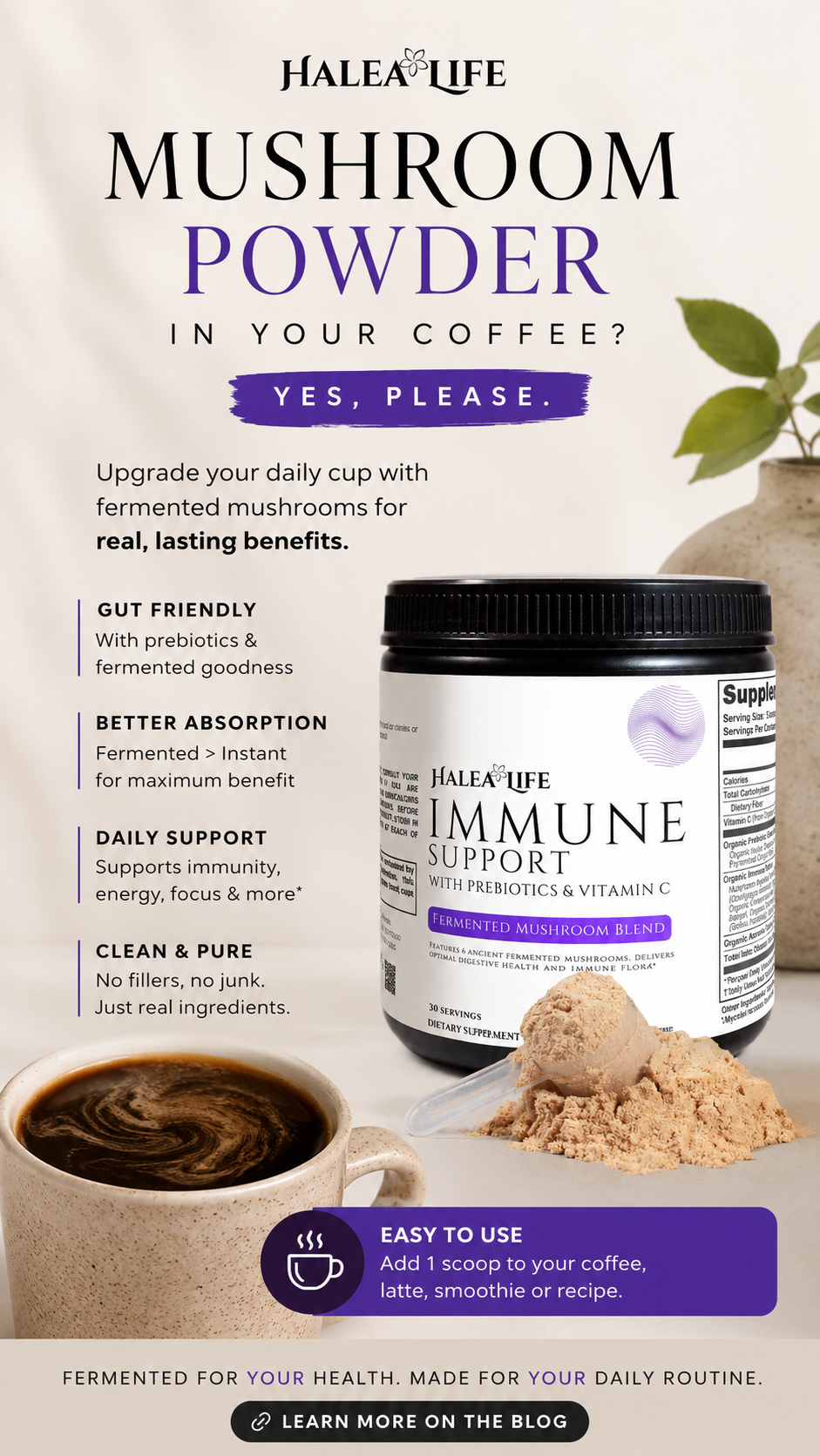 Fermented Mushroom & Prebiotic Blend